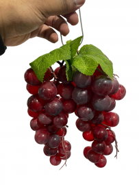 Uva BOLOTA 